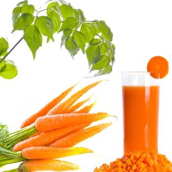 best organic fertilizer for carrots