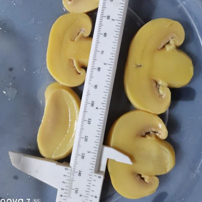 mushrooms-champignon-whole-in-brine mushrooms-champignon-whole-in-brine